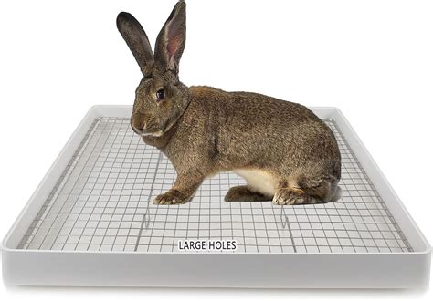 metal grate for litter box|giant rabbit litter box.